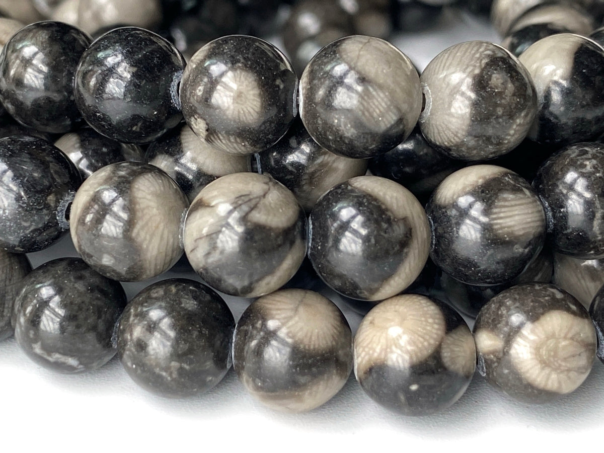 15.5" 8mm Natural black coral fossil stone round beads