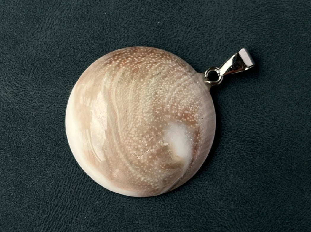 1PC 30~40mm Sun shell fossil round pendant, solar spiral shell