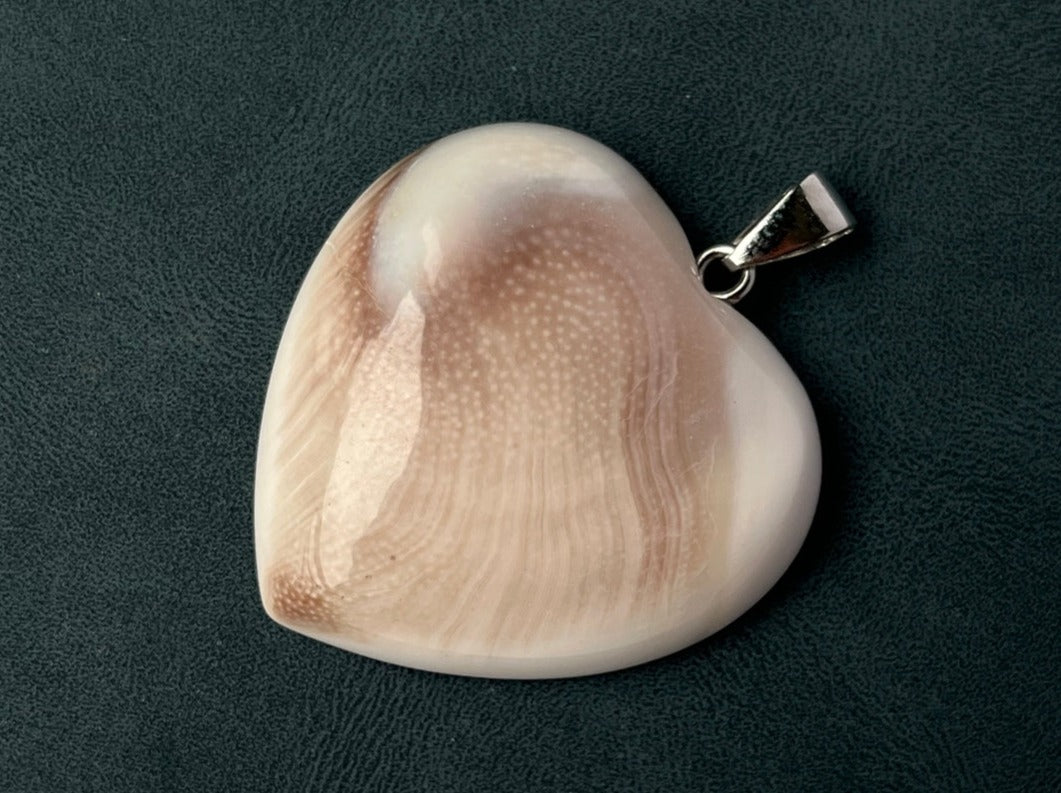 1PC 30~40mm Sun shell fossil heart pendant, solar spiral shell