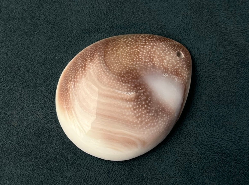 1PC 30~40mm Sun shell fossil teardrop pendant, solar spiral shell