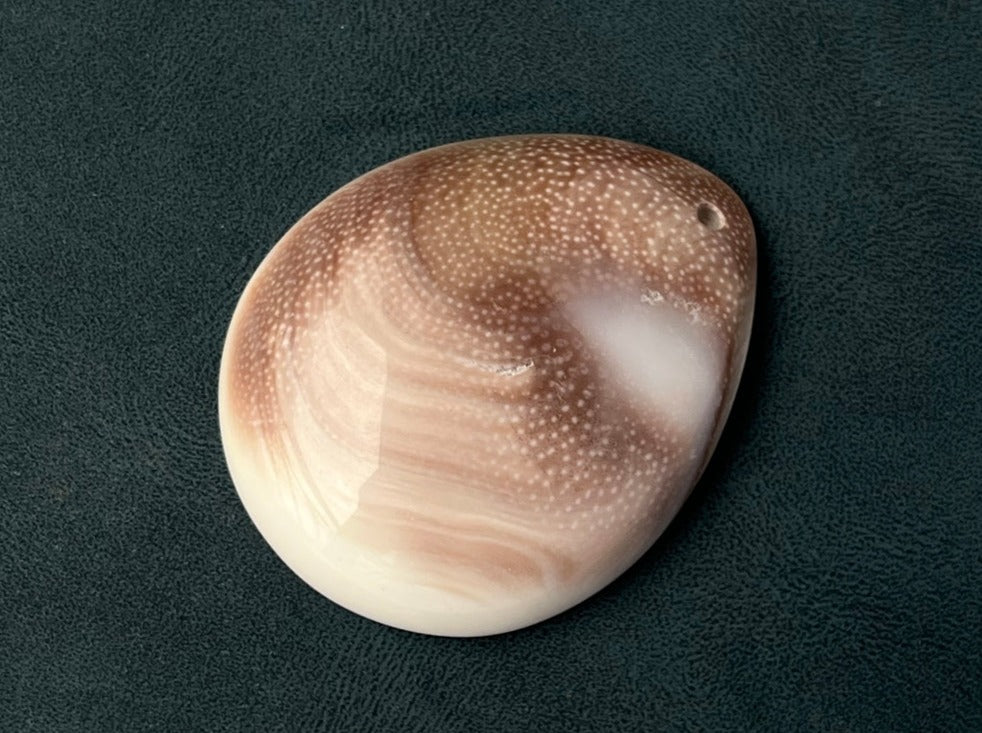 Sun Shell Thing 1PC 30~40mm Sun shell fossil teardrop pendant, solar spiral shell ...