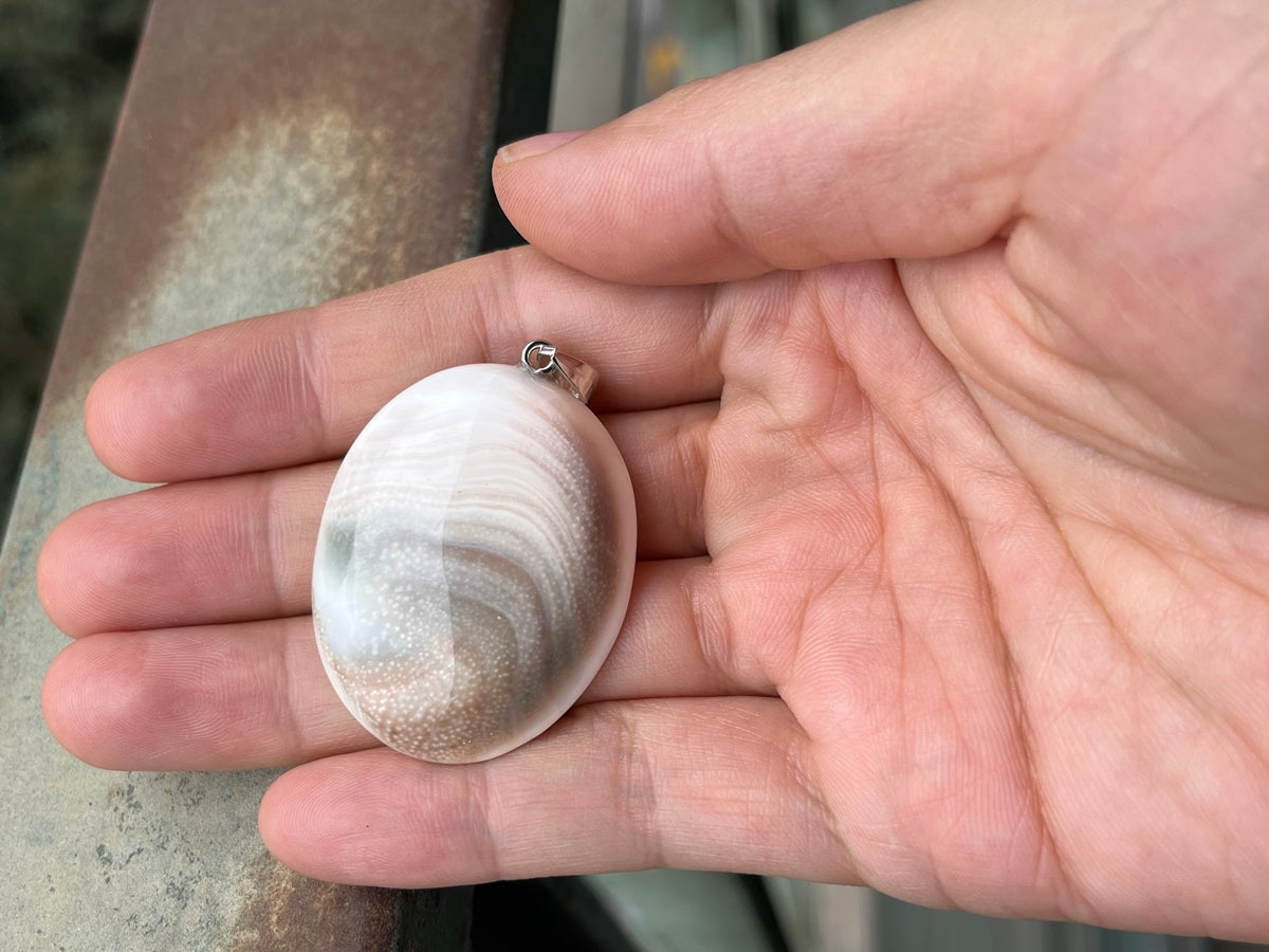 1PC 30~40mm Sun shell fossil oval pendant, solar spiral shell