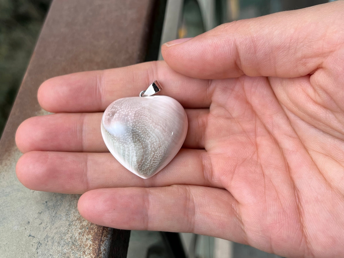 1PC 30~40mm Sun shell fossil heart pendant, solar spiral shell