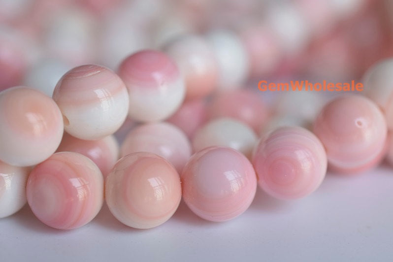 Queen conch shell - Round- beads supplier