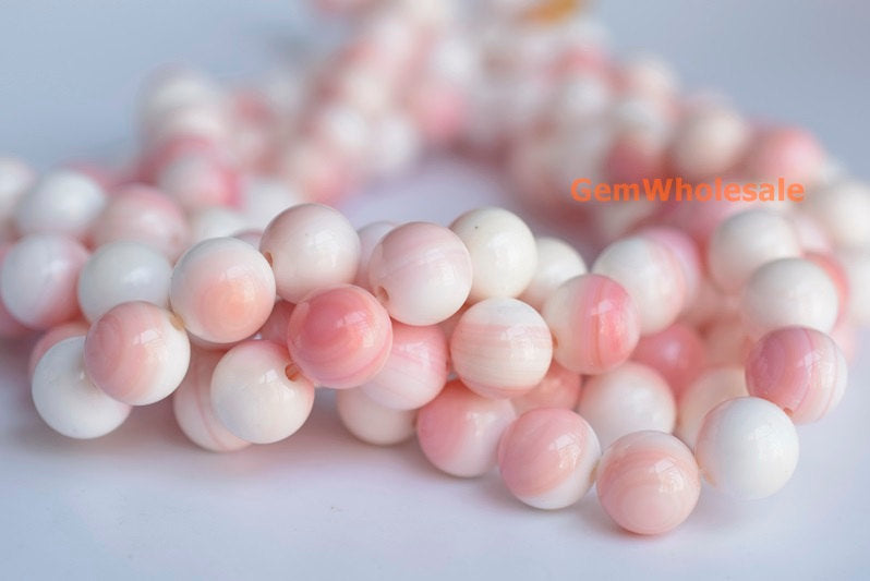 Queen conch shell - Round- beads supplier